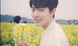 肖战大老板爆料视频大全,揭秘幕后故事与精彩瞬间